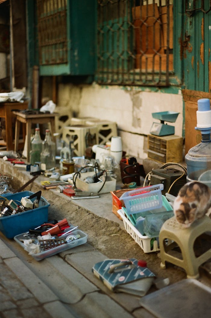 services-img An eclectic collection in a bustling urban market with a curious cat.