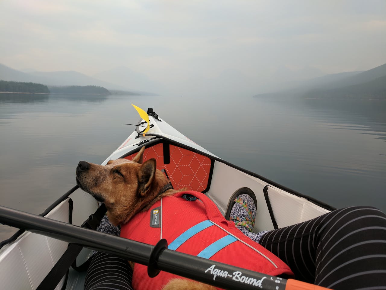 ours-journey Relaxing kayaking trip on a foggy lake in Glacier National Park with a canine companion.