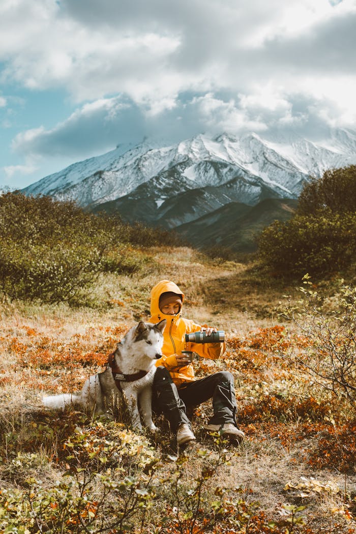 The Art of Drawing Readers In: Your attractive post title goes here Full body frozen traveler resting on grassy highland with adorable Husky dog and pouring hot drink from thermos bottle against majestic snowy mountain range on cold day