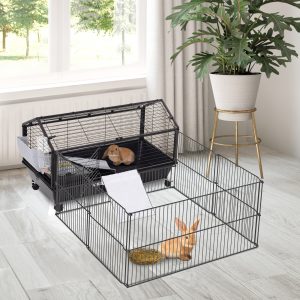 d3739f83-f349-4dc3-ab3a-81235f48a559.jpg Rolling Rabbit