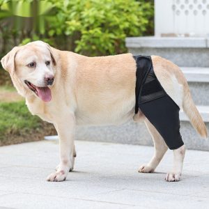 085aece8-6bc6-484b-968f-e070c7626cb0.jpg Pet Joint Protector Fracture Disability Fixed Knee Pad Leg Auxiliary Strap Dog Postoperative Protective Cover