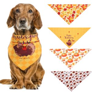 1124992186380.jpg Turkey Thanksgiving Pet Saliva
