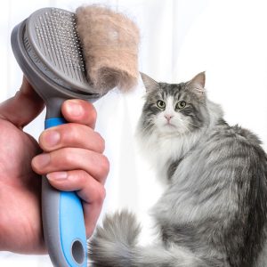 1363815425688.jpg Pet steel needle brush