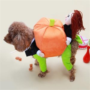 1466809166709.jpg Pet Halloween Pumpkin Decorations for Clothes