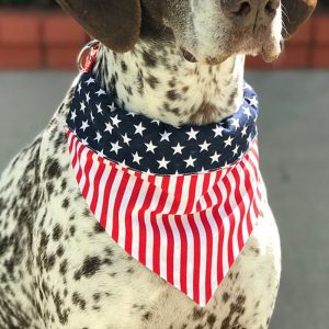 1619429446591.jpg American Flag Pet Triangle Scarf Dog Saliva Towel