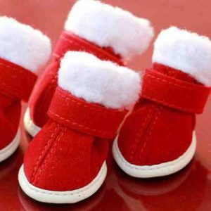 3722720623_907549497.400x400.jpg Pet christmas shoes