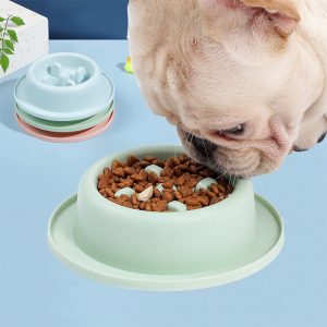 f27aab0b-a31f-41c5-b18a-48f43b4f8229.jpg Pet Slow Food Bowl Anti-choking Food Apparatus